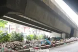 Chủ tịch Hà Nội chỉ đạo xử lý tình trạng rác dày đặc đường Vành đai 2, Vành đai 3