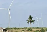 Nhiều doanh nghiệp muốn đầu tư hàng loạt dự án điện gió ở Cần Thơ