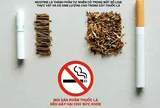 Làm rõ về độc tính của nicotine để phòng chống đúng tác hại của thuốc lá
