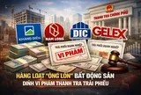 Khang Điền (KDH), Nam Long (NLG), DIC Corp (DIG), Gelex (GEX), … bị điểm tên trong kết luận thanh tra về trái phiếu