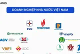 Nhiều doanh nghiệp nhà nước vào diện cơ cấu lại vốn