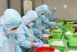 Doanh nghiệp xuất khẩu tôm 'cầu cứu'