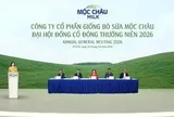 Mộc Châu Milk vững vàng nội lực, hướng tới kỷ lục lợi nhuận mới năm 2026
