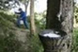 Một nguyên liệu thiết yếu cho ngành ô tô bất ngờ tăng giá mạnh nhất 8 năm: Việt Nam đứng thứ 3 thế giới về sản lượng nhưng chưa phải quốc gia hưởng lợi nhất