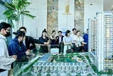 Phân khúc 75–80 triệu/m² trở thành điểm cân bằng thị trường