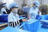 TPHCM dẫn đầu cả nước về Chỉ số hiệu quả kinh tế tư nhân