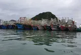 Ngư trường Quảng Ninh quá tải vì tàu cá nhỏ