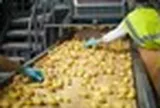 ‘Đột nhập’ nhà máy ngốn gần 500 tấn khoai/ngày, gần như không cần con người: Phát hiện tinh hoa công nghệ làm ra 10 triệu gói xuất xưởng mỗi ngày