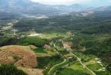 Gỡ nút thắt mặt bằng, tăng tốc đường liên vùng Khánh Hòa - Lâm Đồng - Ninh Thuận