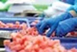 Quốc gia châu Phi báo tin vui cho Việt Nam: Nhập khẩu 1 loại 'siêu thực phẩm' tăng mạnh