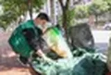 Phát hiện 1 chuyên viên phân tích tài chính bỏ việc kiếm hơn 77 triệu đồng/tháng nhờ thu mua phế liệu