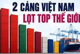 Tự hào: Hai cảng container Việt Nam đứng Top hiệu quả nhất toàn cầu