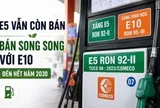 Xăng E5 bỗng dưng "đắt hàng", nhiều chủ xe đời cũ săn lùng: Bộ Công Thương nói gì?