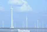Gần 22.000 tỷ đồng đầu tư 2 dự án điện gió ở Cần Thơ