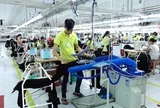 Lãi gấp 5 lần năm trước, một công ty dệt may sắp trả cổ tức bằng tiền mặt tỷ lệ 40%