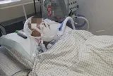 Nam sinh 15 tuổi tử vong khi đang chơi, bác sĩ cảnh báo thói quen "cực độc" nhiều người mê
