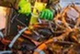 Việt Nam vừa đón tin cực vui từ Trung Quốc