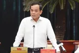 Bí thư Trần Lưu Quang: TP.HCM dồn toàn lực cho 3 mục tiêu lớn của năm 2026