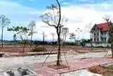 Thị trường đất đấu giá phân hóa: Nơi giảm sâu 30%, nơi ngược dòng giữ sóng