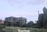 Dự án nghìn tỷ 'đắp chiếu', siêu đô thị thành... vườn sắn