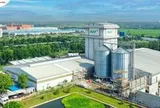 Doanh thu bứt phá, Baf Việt Nam vẫn báo lãi ròng quý II/2026 ‘bốc hơi’ 50%