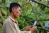 Tiết lộ về 'tờ giấy quyền lực' xuất khẩu sầu riêng