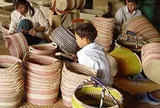 Thuê lao động chưa thành niên không có sự đồng ý của cha mẹ, doanh nghiệp có thể bị phạt 50 triệu đồng