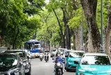 Hà Nội miễn 100% vé xe buýt Vành đai 1, hỗ trợ 30% lãi suất vay đổi xe xanh