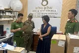 Bắt nữ giám đốc công ty BĐS từng phẫu thuật thẩm mỹ để lẩn trốn suốt 9 năm sau khi lừa đảo chiếm đoạt gần 26,6 tỷ đồng