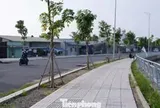 Hơn 3 năm cải tạo, tuyến kênh dài nhất TPHCM ‘thay da đổi thịt’ ra sao?