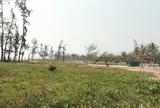 Nhiều dự án “treo” tại khu du lịch biển: Nơi bỏ hoang, nơi đầu tư thì bị vướng