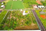 Vì sao chưa thu hồi được hơn 15 tỉ đồng tiền cọc đấu giá đất tại Gia Lai?