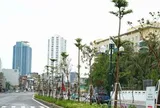 Đề xuất phương án lưu thông trên đường Vành đai 1, đoạn Hoàng Cầu - Voi Phục