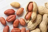Bé 2 tuổi tím tái sau khi ăn lạc