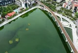 Hà Nội thí điểm cho ô tô đi một chiều quanh hồ Đống Đa