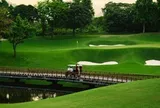 Khách quốc tế đang chi hàng chục nghìn USD để đến Việt Nam chơi Golf