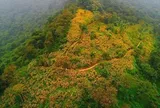 Một “kỳ quan” chưa từng có sắp xuất hiện ở Hà Nội: Rộng 580ha, được đầu tư 10.000 tỷ đồng