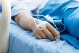 Đang hái chè, người phụ nữ bị con vật màu trắng cắn nguy kịch