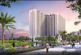 Bất ngờ một doanh nghiệp bất động sản trở thành cổ đông lớn của Cao su Miền Nam