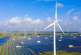 Việt Nam dẫn đầu Đông Nam Á về hút vốn vào năng lượng tái tạo