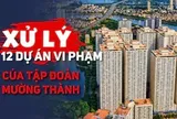 Xử lý 12 dự án vi phạm của Tập đoàn Mường Thành: Chủ đầu tư phải nộp và chi trả những khoản nào?