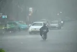 Tin mới nhất về thời điểm miền Bắc chuyển mưa lạnh