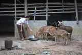 Đầu tư hạ tầng ở miền núi Thanh Hóa: Điện, nước vẫn là yêu cầu cấp thiết