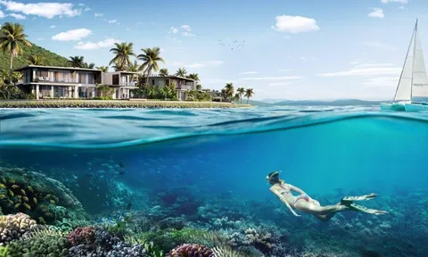 Cùng Villa Le Corail, A Gran Meliá Hotel bảo tồn hệ sinh thái ngay dưới thềm dinh thự