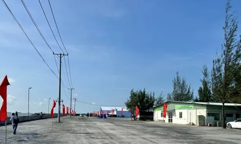 TPHCM hướng Cần Giờ thành khu đô thị xanh, thân thiện môi trường