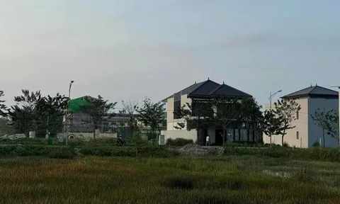 Mua đất quê 1.200m2 từ thời giá chỉ 500.000 đồng, người phụ nữ vui mừng: Vừa rao bán 6,5 tỷ đồng đã có người mua ngay