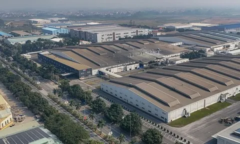 Công ty CP Tập đoàn Tân Mai và 4 doanh nghiệp ngừng sản xuất, tháo dỡ công trình, trả lại mặt bằng cho Nhà nước