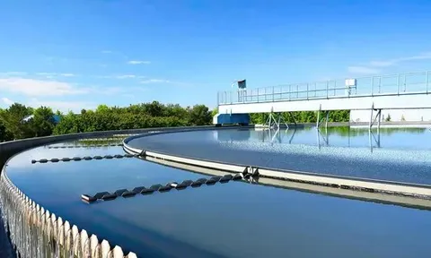 Chuyển đổi xanh: 'Nếu không đạt chuẩn, doanh nghiệp sẽ bị loại khỏi sân chơi'