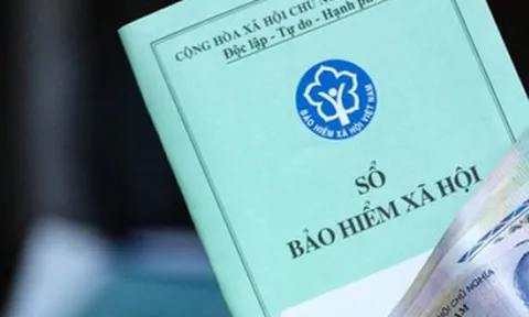 Chủ hộ kinh doanh sẽ đóng BHXH bắt buộc mức cao nhất gần 12 triệu đồng ngay trong tháng sau