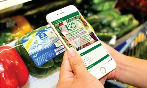 Tiếp tục rà soát xuất xứ, truy xuất nguồn gốc hàng hóa